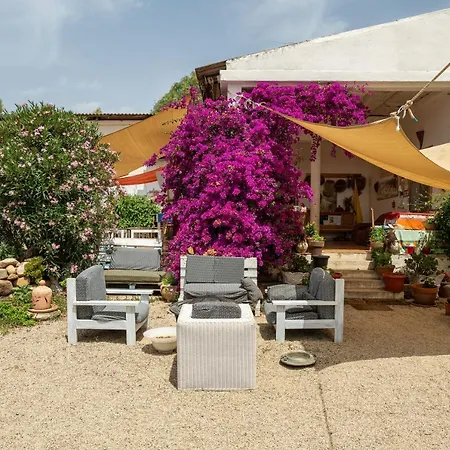 Orange Tent - In Our Garden * Capitana
